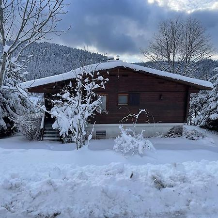 Chalet Situe Au Grand Valtin Villa Ban-sur-Meurthe-Clefcy Exterior photo