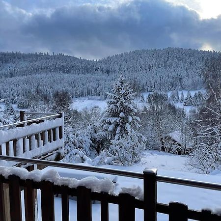 Chalet Situe Au Grand Valtin Villa Ban-sur-Meurthe-Clefcy Exterior photo