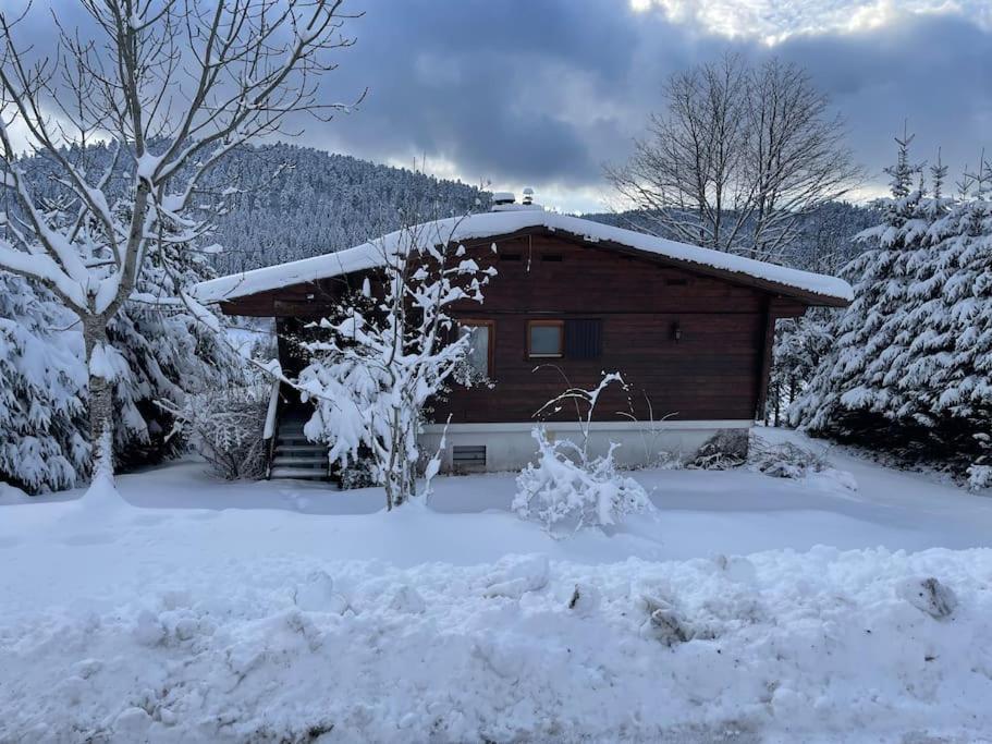 Chalet Situe Au Grand Valtin Villa Ban-sur-Meurthe-Clefcy Exterior photo