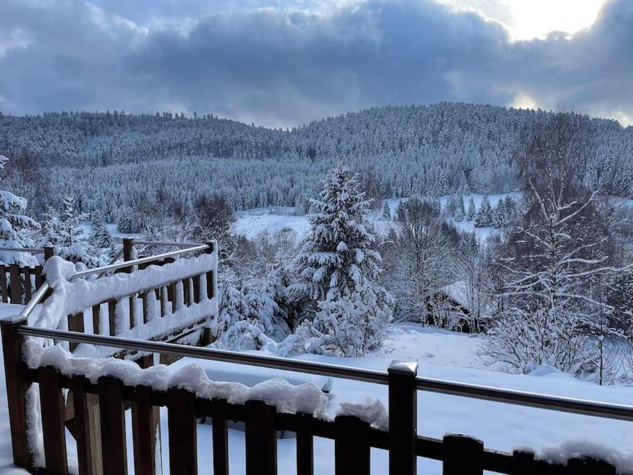 Chalet Situe Au Grand Valtin Villa Ban-sur-Meurthe-Clefcy Exterior photo